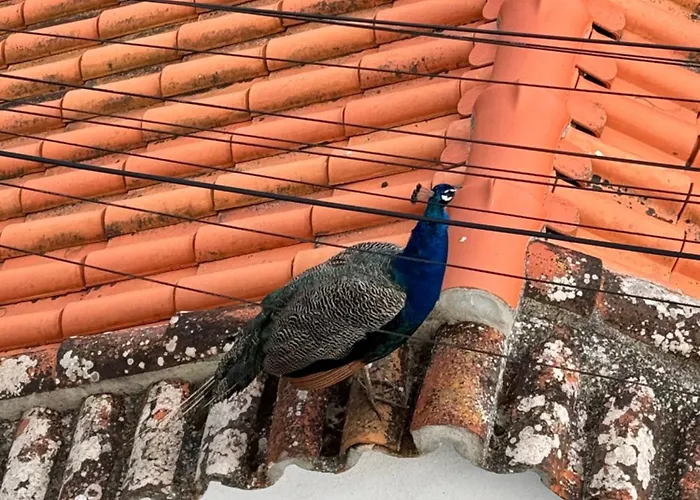 Apartamento Foz Lagoon